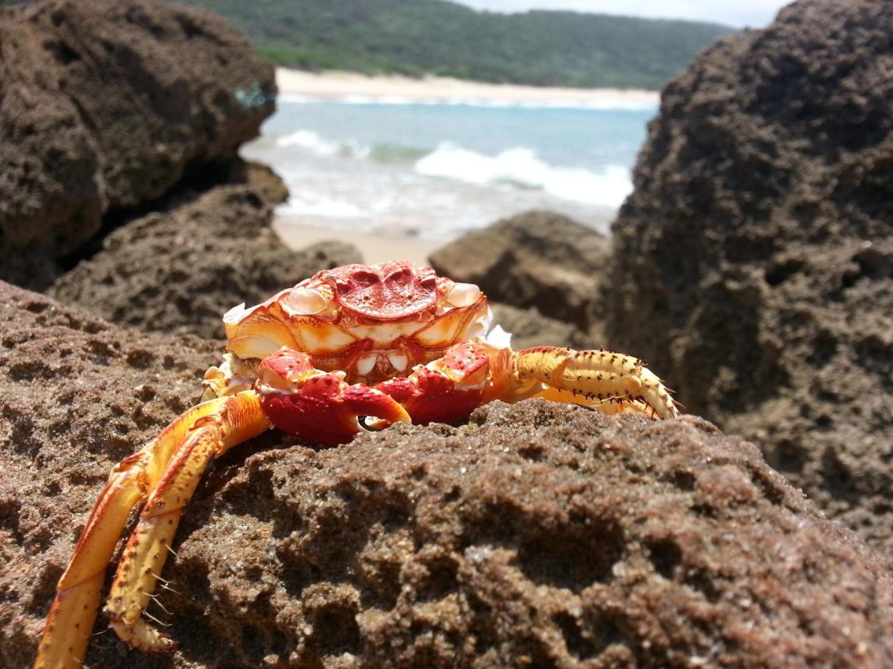 House 53 Sodwana Bay Lodge ภายนอก รูปภาพ
