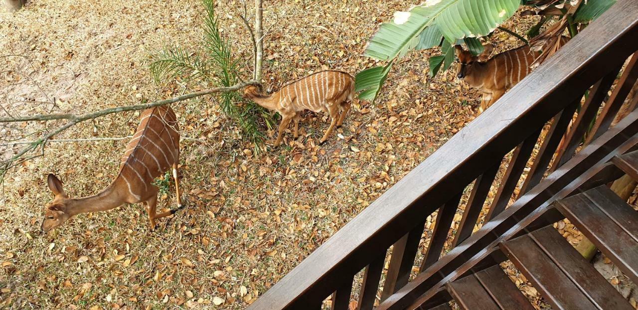 House 53 Sodwana Bay Lodge ภายนอก รูปภาพ